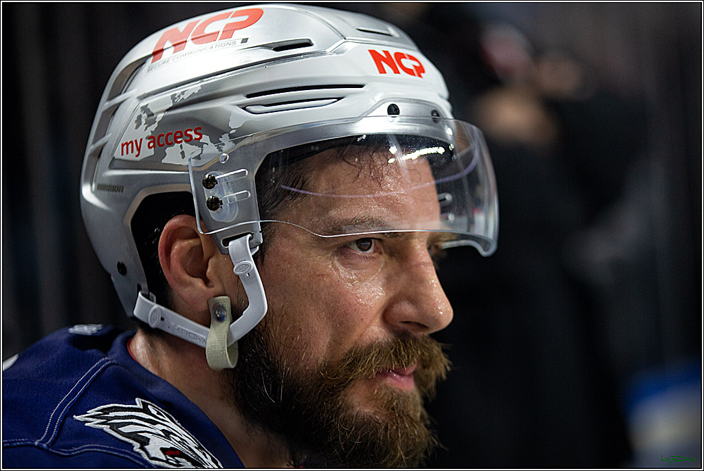 PENNY DEL; Koelner Haie- Nuernberger Ice Tigers; Koeln, 18.11.2022